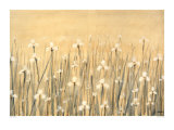 Field of White Affiches par Simon Fairless
