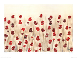 Poppy Profusion Plakat af Simon Fairless Poppy Profusion Plakat af Simon Fairless