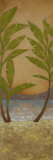 Tropical Morning II Prints by Trevor Copenhaver