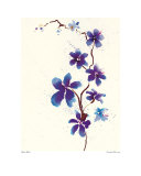 Oriental Blossom Prints by Olivia Wade
