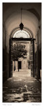Portico, Espana Prints by Alan Blaustein