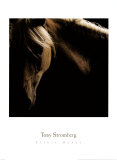 Spirit Horse Posters af Tony Stromberg