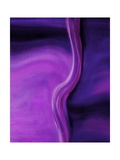 Shades of Purple II Photographic Print by Ruth Palmer 2
