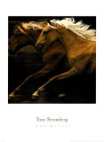 La danse Affiches par Tony Stromberg
