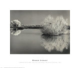 Frosted Willows, San Luis National Wildlife Refuge, 1998 Posters by Roman Loranc