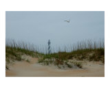 Hatteras Photographic Print by Frank Tozier