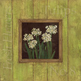 Narcisos blancos Póster por Stephanie Marrott