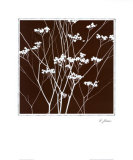 Autumn Whimsy I Posters by Horst Jonas