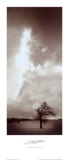 Last Stand Kunst von Stephen Rutherford-Bate