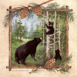 Anita Phillips - Black Bears II - Poster Anita Phillips - Black Bears II - Poster
