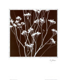 Autumn Whimsy II Prints by Horst Jonas