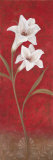 Classically Created I Posters by Carol Robinson
