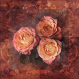 Rose Trio II Print by Tom Collicott