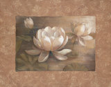 Lotus Art by Vivian Flasch