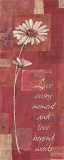 Katherine & Elizabeth Pope - Love Beyond Words Plakát