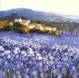 Champs D'Iris, Provence Prints by Hazel Barker