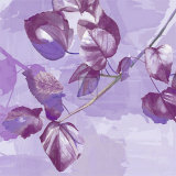 Light and Shade II Plakater af Kate Knight