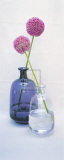 Allium I Pósters por Bill Philip
