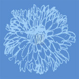 Chrysanthemum Bloom II Affiches par Alice Buckingham