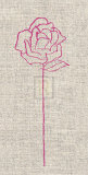 Romantic Rose II Plakat av Alice Buckingham Romantic Rose II Plakat av Alice Buckingham