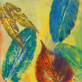 Vibrant X Láminas por Jennifer Hollack