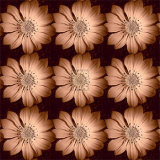 Daisy Chain Prints by Katja Marzahn