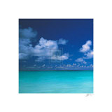 Tropical Waters III Print