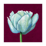 From Flower to Bud II Kunst von Kate Mawdsley