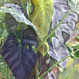 Jungle Fever I Art par Jan Sacca