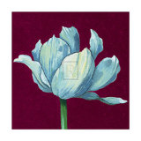 From Flower to Bud III Posters by Kate Mawdsley