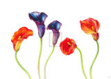 Purple and Mango Poster di Rosie Sanders Purple and Mango Poster di Rosie Sanders