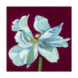 From Flower to Bud IV Kunstdrucke von Kate Mawdsley