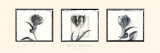 Three Tulips II Lámina por Bill Philip