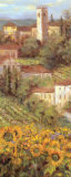 Pueblo provenzal IV Láminas por Michael Longo Pueblo provenzal IV Láminas por Michael Longo