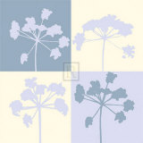 Make a Wish II Prints by Julie Lavender