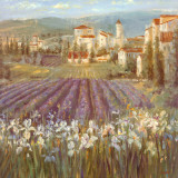 Aldea provenzal Láminas por Michael Longo