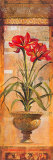 Rojo Botanicals IV Prints by Edwin Douglas