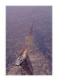 Silver Sea II Posters par Ingrid Abery