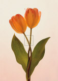 Transparent Beauty II Prints by Katja Marzahn