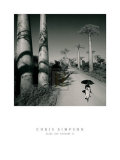 Allee des Baobabs II Láminas por Chris Simpson