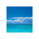 Tropical Waters II Prints