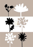 Shadows II Posters by Julie Lavender