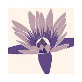 Water-Lily Prints by Emily Burrowes