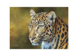 Leopard Posters by Kim Thompson