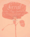 Musical Silence I Posters by Katja Marzahn