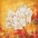 Peony Dawn I Prints by Sophia Sanchez