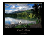 Denali National Park Photographic Print by J Wayne Pinkston