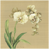 Asian Orchid Prints by Lynne Misiewicz