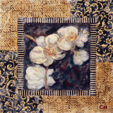 Javanese Orchid I Prints by Carolyn Holman Javanese Orchid I Prints by Carolyn Holman