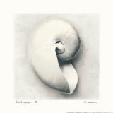 Sea Shapes III Affiche par Amy Melious